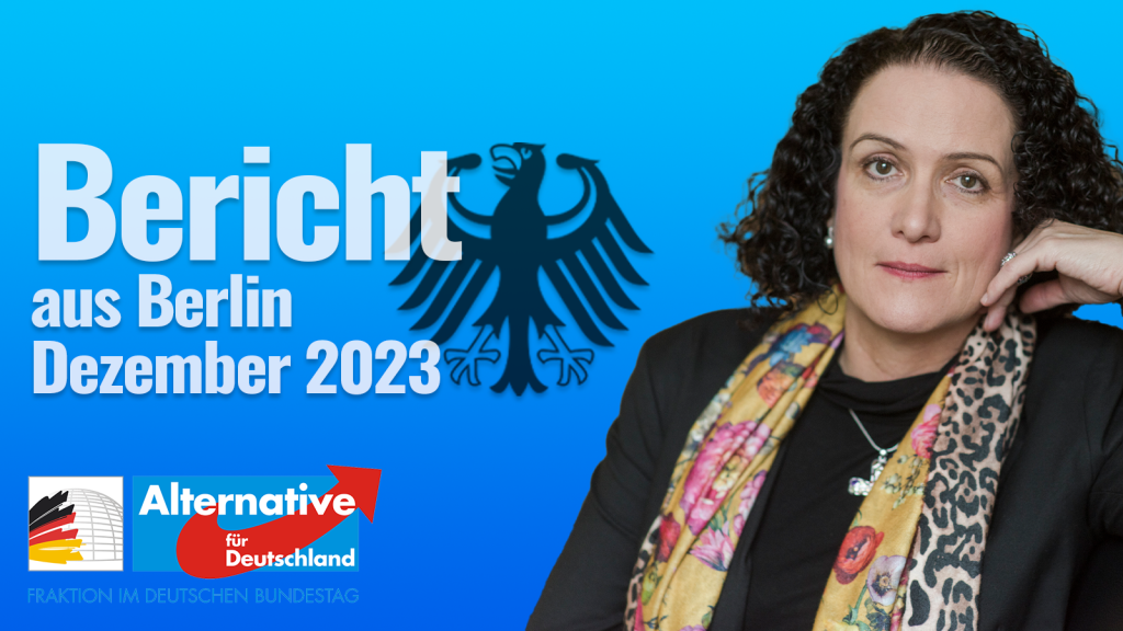 Bericht Dezember 2023